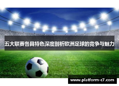 五大联赛各具特色深度剖析欧洲足球的竞争与魅力