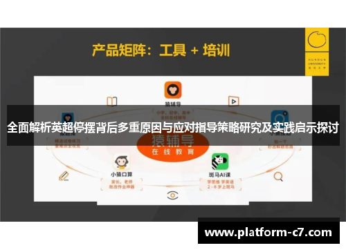 全面解析英超停摆背后多重原因与应对指导策略研究及实践启示探讨