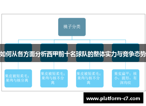 如何从各方面分析西甲前十名球队的整体实力与竞争态势 如何从各方面分析西甲前十名球队的整体实力与竞争态势