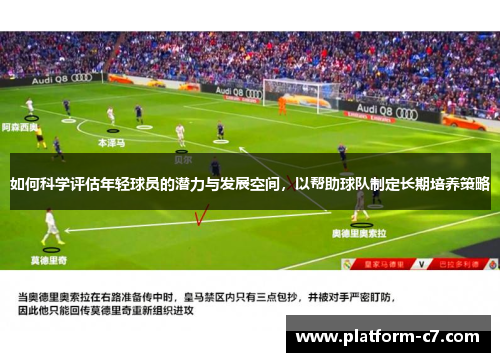 如何科学评估年轻球员的潜力与发展空间，以帮助球队制定长期培养策略