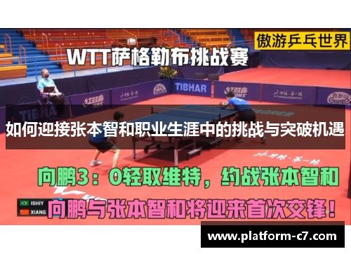 如何迎接张本智和职业生涯中的挑战与突破机遇