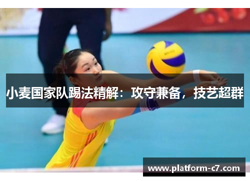 小麦国家队踢法精解:攻守兼备,技艺超群 小麦国家队踢法精解:攻守兼备,技艺超群