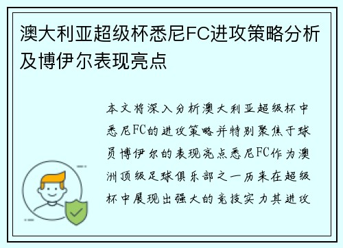 澳大利亚超级杯悉尼FC进攻策略分析及博伊尔表现亮点